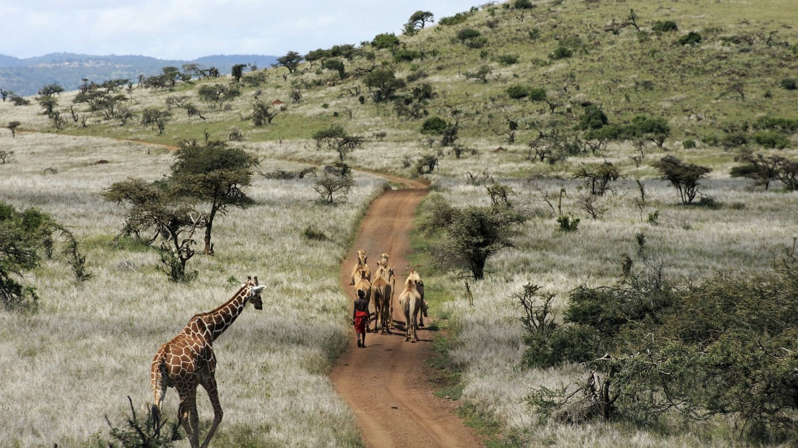 Laikipia