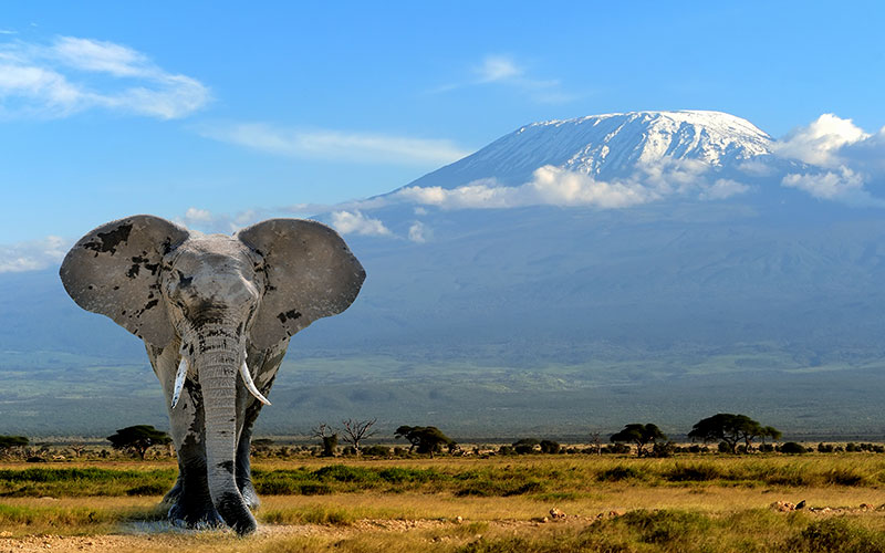 Tanzania