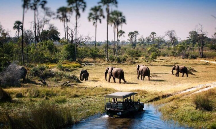 Tarangire