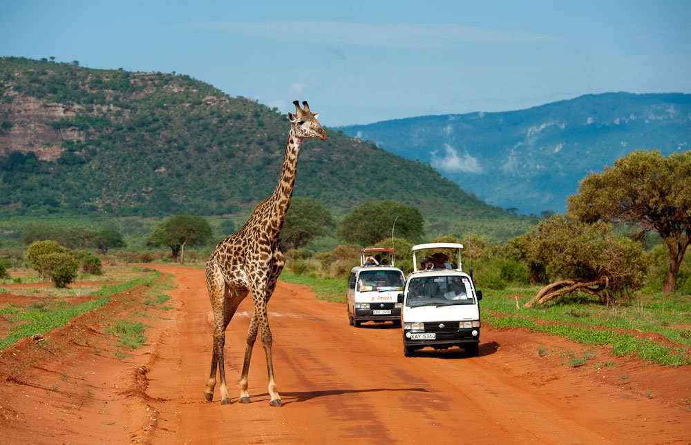 Tsavo East