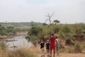 Gallery Thumbnail 4